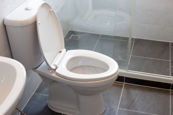 Cost of Toilet Replacement in Lees Summit