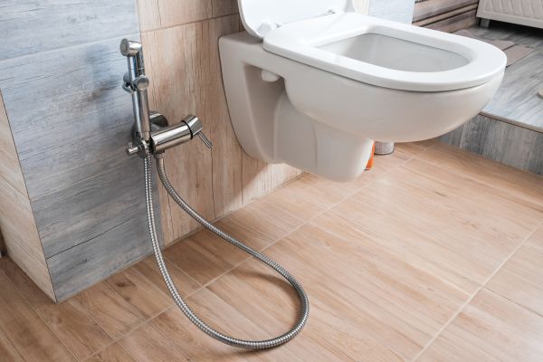 Cost of Bidet Service in Lees Summit